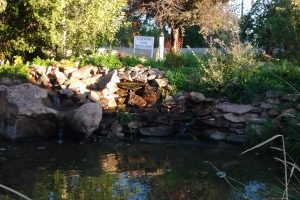 Hostel Boise yard and pond