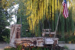 Hostel Boise yard and pond