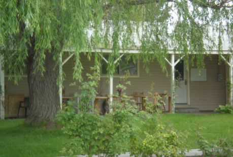 trees in front of Hostel Boise